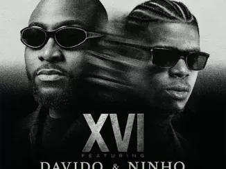 XVI - Para