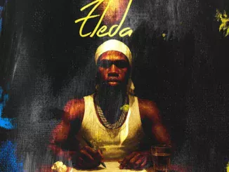 T Dollar - Eleda