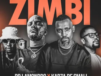 Dr. Lamondro - Zimbi