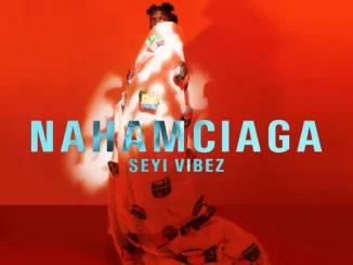 Seyi Vibez - NAHAMciaga EP