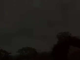 Damithurnam – Dopamine