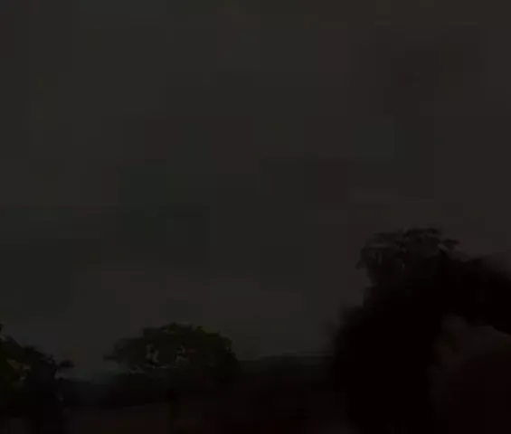 Damithurnam – Dopamine