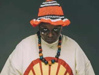 Big Smur Lee – Hilux