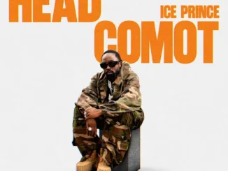 Ice Prince - Head Comot