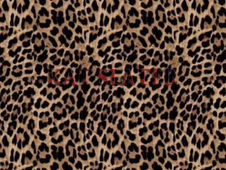 Tim Duzit - Kat Slater (Native Remedies Remix)