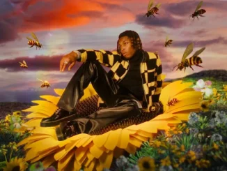 Rybeena - Mr Bee (Album)